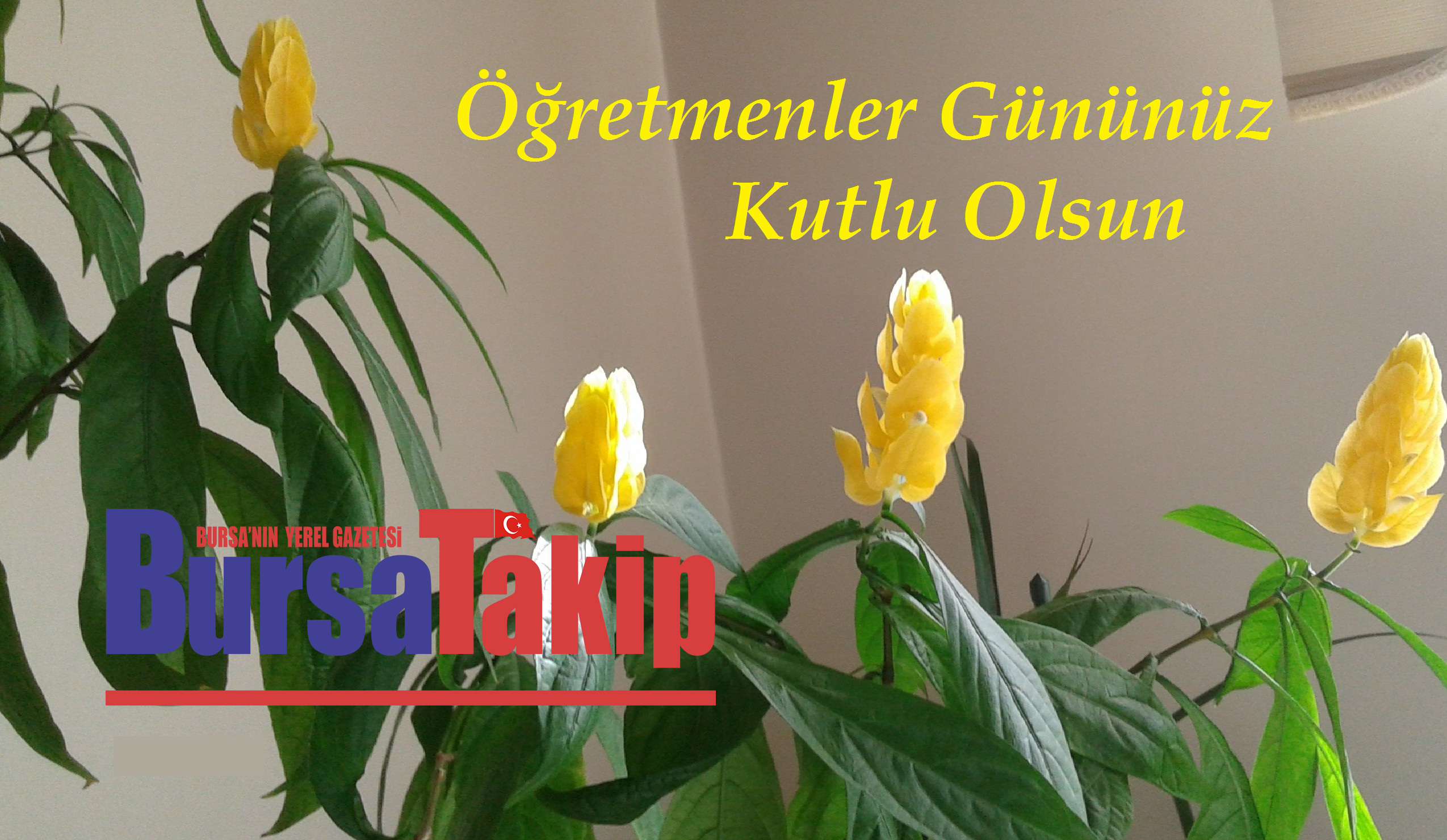 24 KASIM ÖĞRETMENLER GÜNÜ KUTLU OLSUN