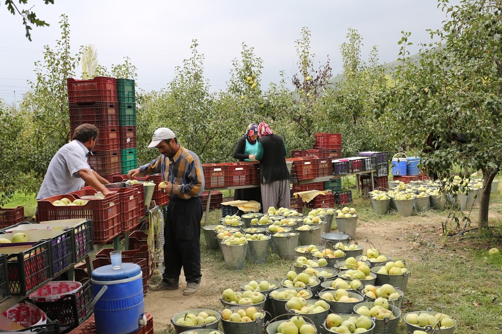 Gürsu’ya bir hibe proje daha…