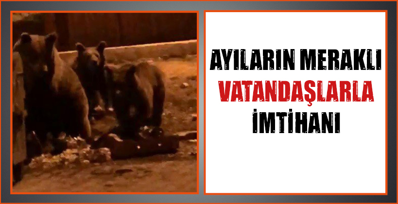 AYILARIN MERAKLI VATANDAŞLARLA İMTİHANI
