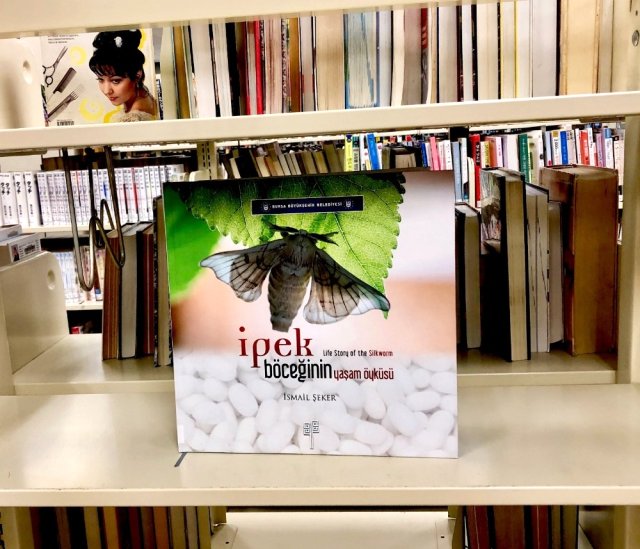 İpek böceğinin hayat hikayesi ABD de