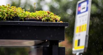 Utrecht, otobüs duraklarının üzerini yeşillendirdi