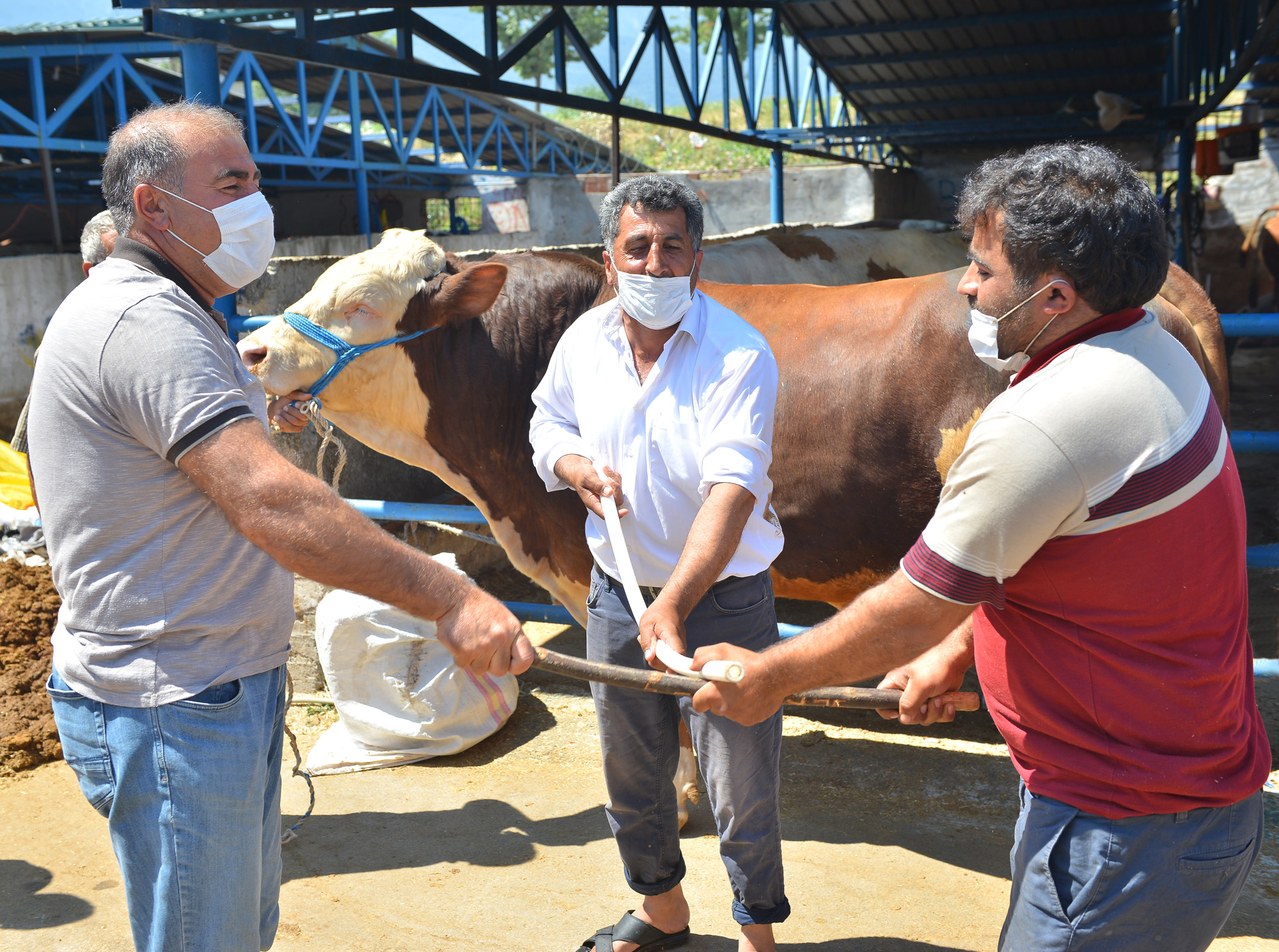 SOSYAL MESAFELİ KURBAN PAZARI