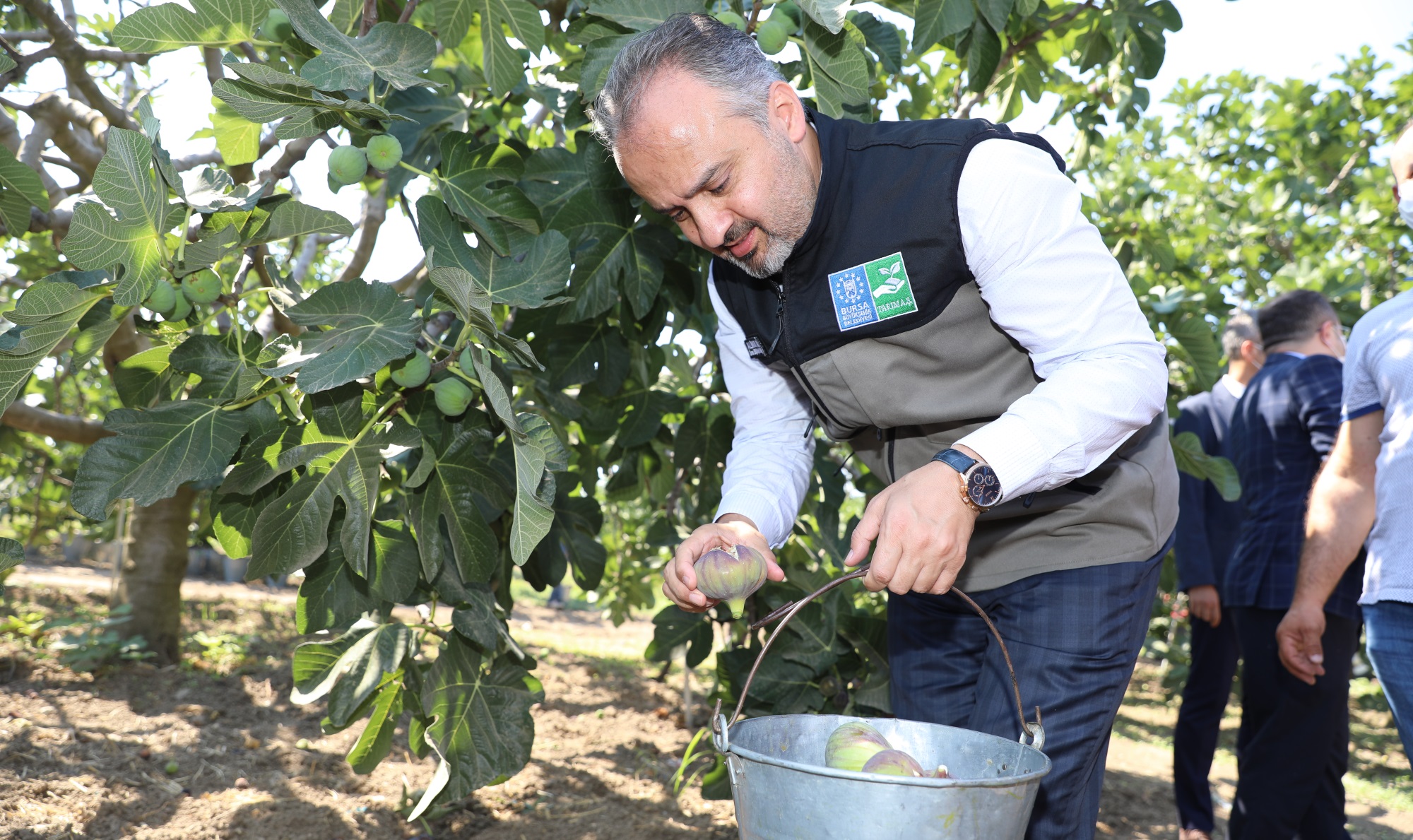 “SİYAH İNCİR DÜNYA PAZARLARINDA”