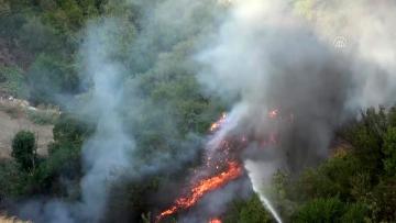 GEMLİK’TE ORMAN YANGINI