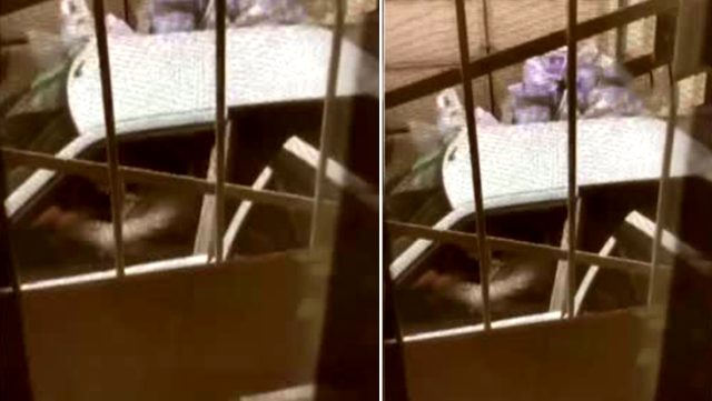 FUHUŞ ÇETESİ TARAFINDAN KAÇIRILAN GENÇ KIZ EKİPLER TARAFINDAN KURTARILDI