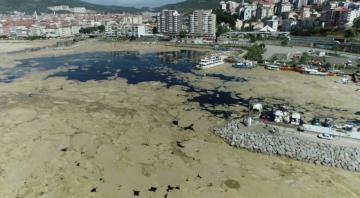 SALYA İSTİLASI BURSA’YI DA SARDI