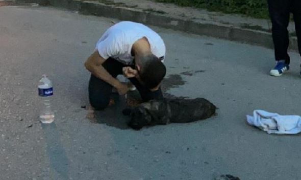 YARALANAN KÖPEĞİNE SARILIP AĞLADI